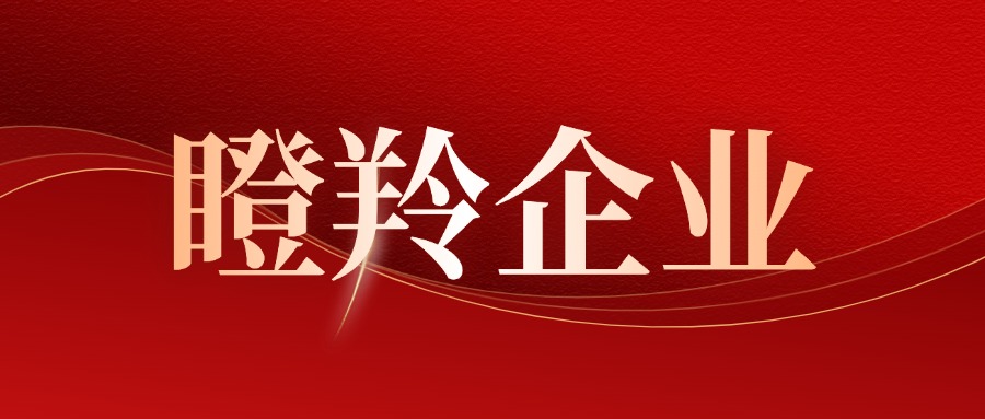 喜報！譽(yù)辰智能獲評深圳市 “瞪羚企業(yè)” 稱(chēng)號